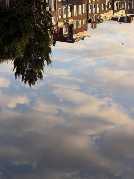 This photo captures a serene reflection of classic Amsterdam canal houses and a lush green tree in the water at Oudeschans, Uilenburg, Amsterdam